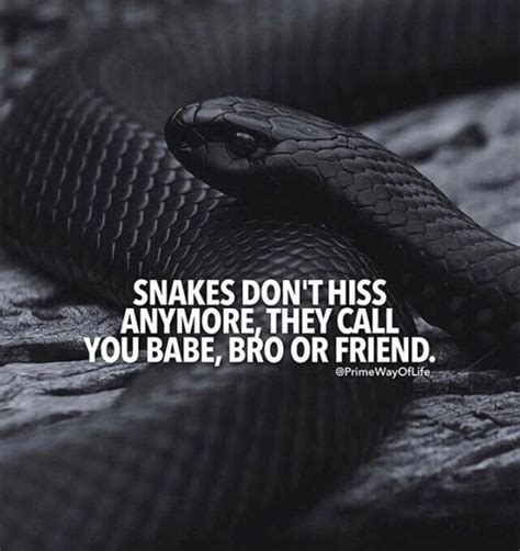 watching all the snakes curving all the fakes|Watching all the snakes, curving all the fakes. .